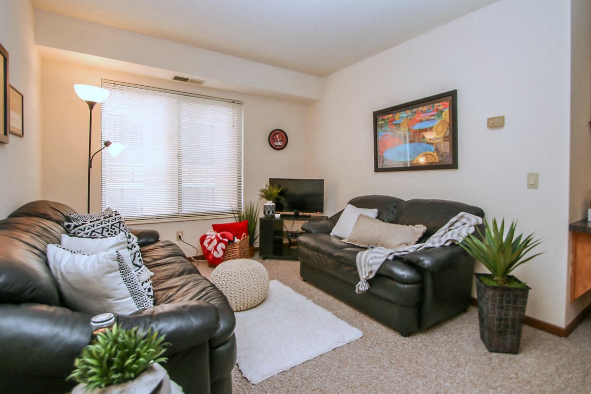 Photos and Video of LaVille in Madison, WI